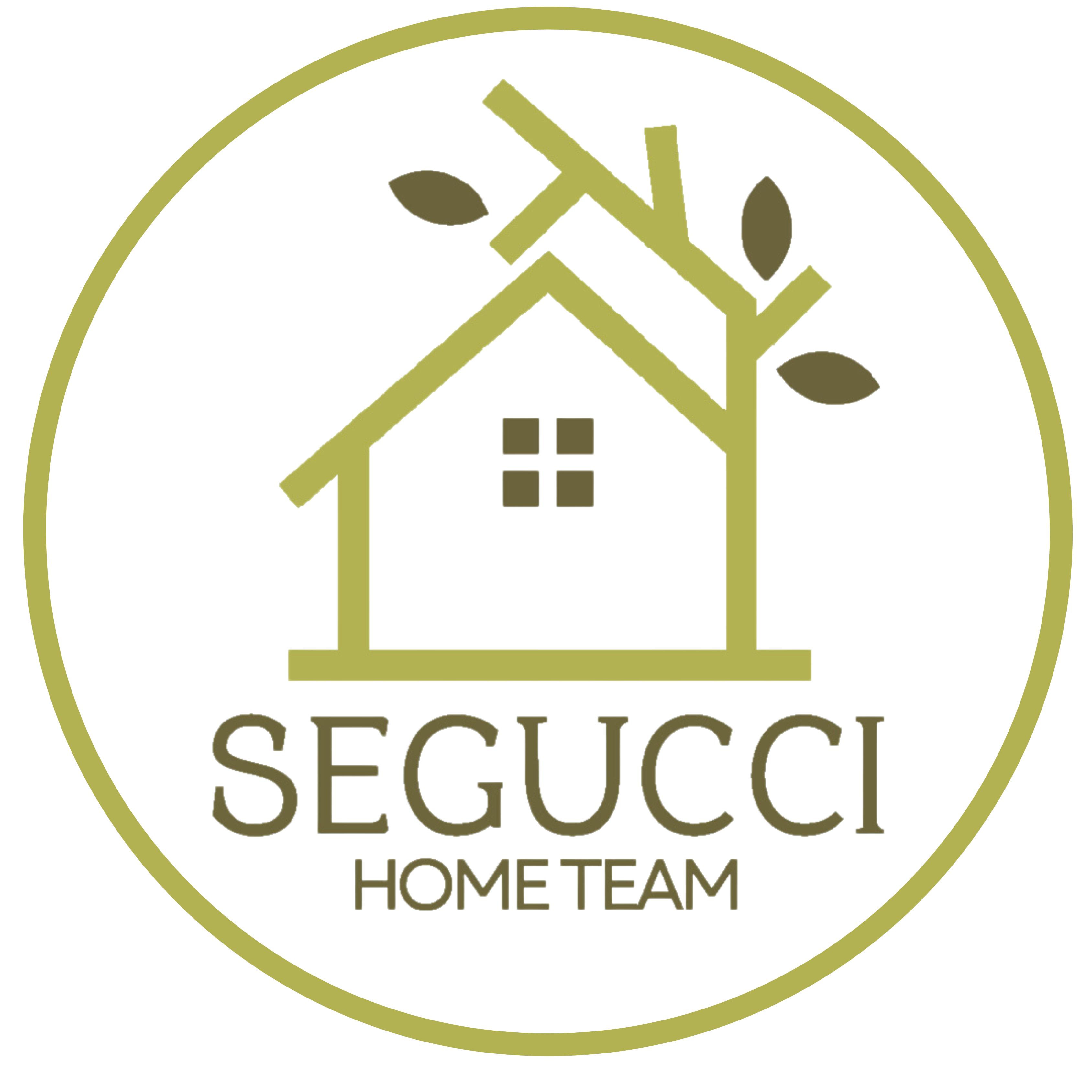 Segucci Home Team